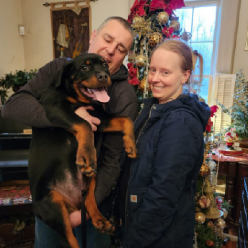 Vancamp Haus of Rottweilers