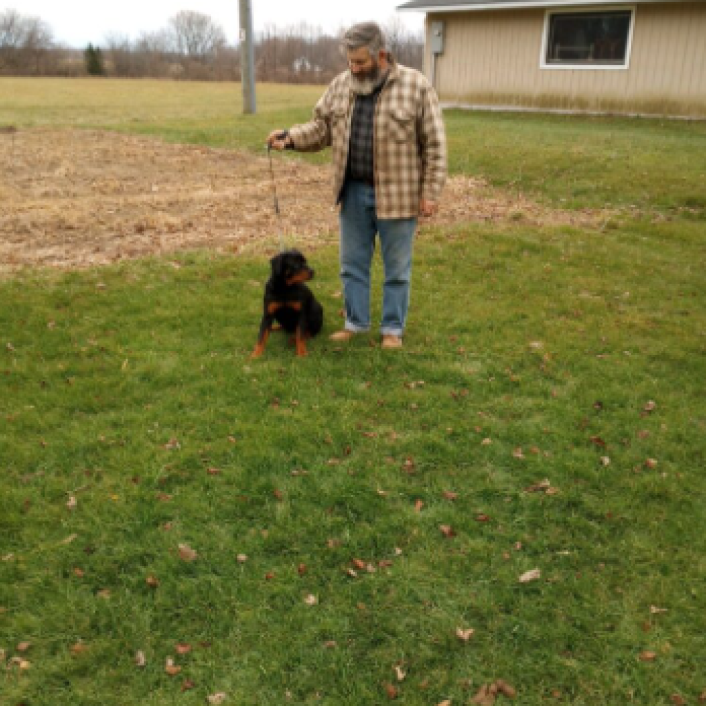 Vancamp Haus of Rottweilers