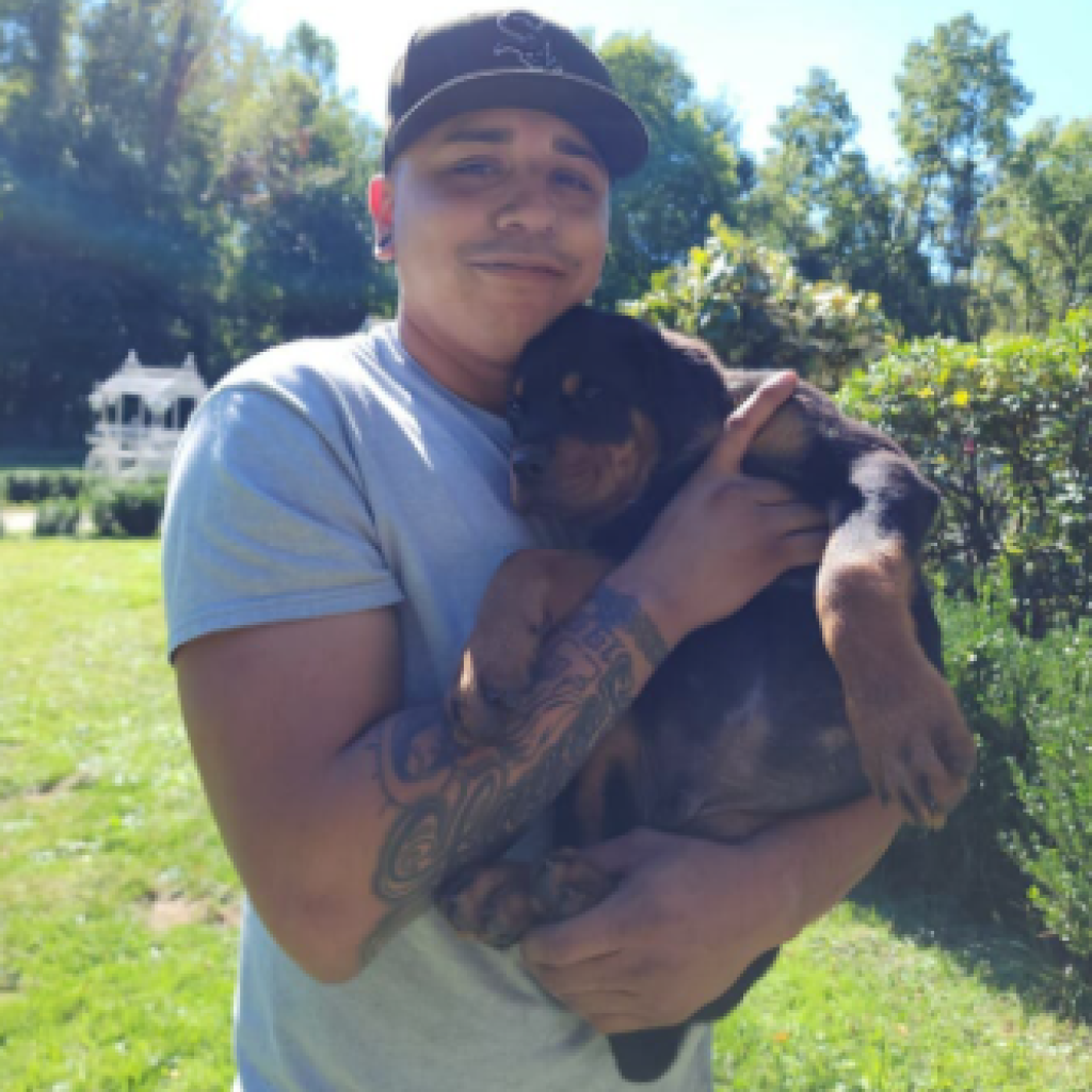 Vancamp Haus of Rottweilers